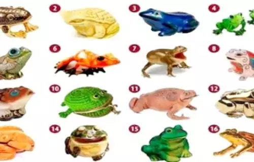 Pick a Frog and Find out the Quickest Way to Get Rich