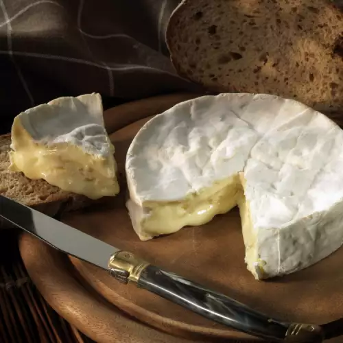 Camembert