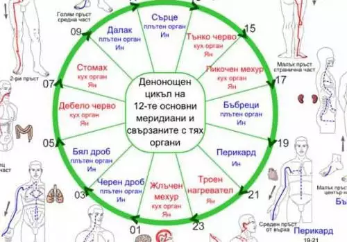 Китайският часовник, който показва от какво ще се разболееш