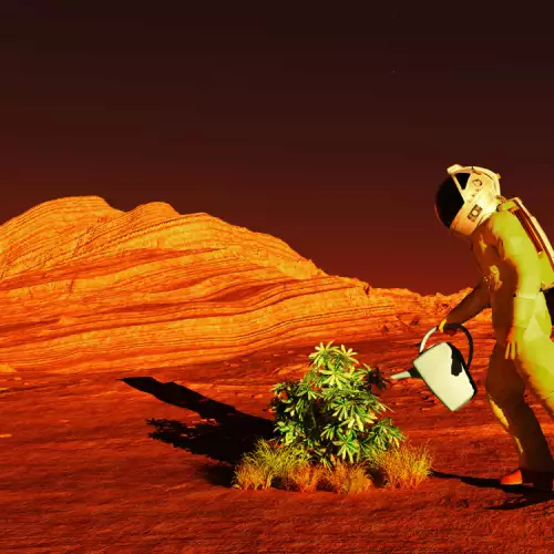 Smart Seaweed is the Key to Life on Mars!