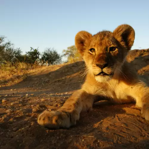 Kruger National Park