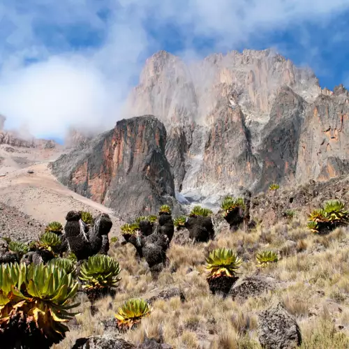 Mount Kenya