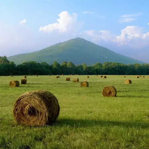 The Pyramids in Bosnia