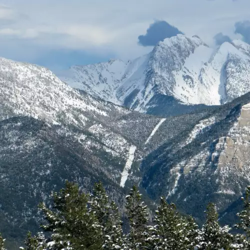 Pyrenees