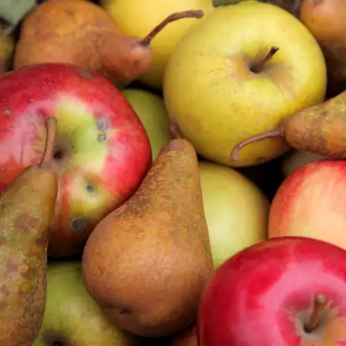 How to Ripen Already Picked Fruits and Vegetables