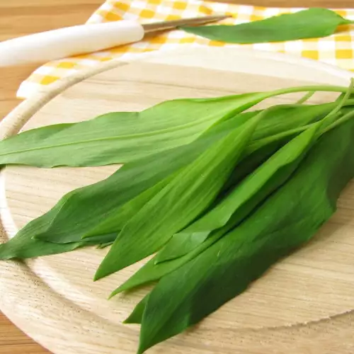 Wild Garlic - Ramsons