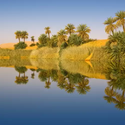 A Lake Mysteriously Appears in the Middle of a Desert in Tunisia