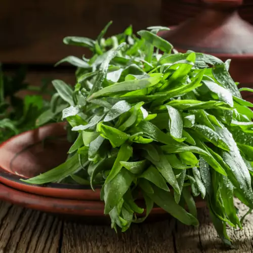 Tarragon Essential Oil