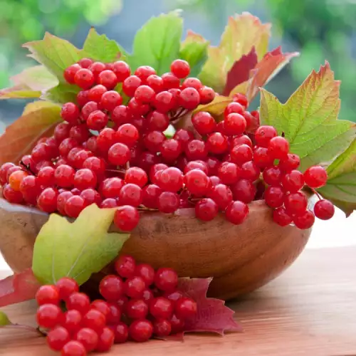 How to Make Rowan Jam