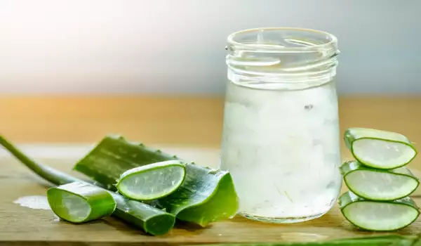 Aloe Vera Wasser zur Hydratation