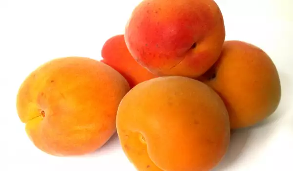 Fresh Apricots