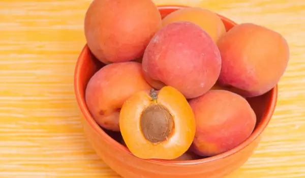 Apricots