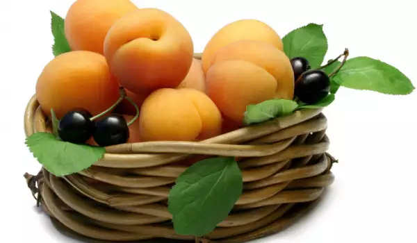 Basket of Apricots