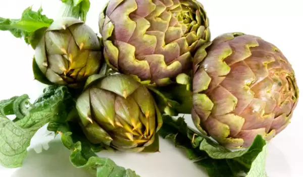 Artichoke is Good for Gallbladder Disease