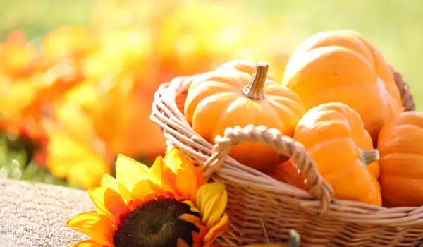 Betacaroteno en la calabaza