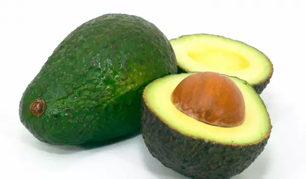 Avocado