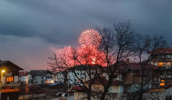 Кучетата се страхуват от фойерверки