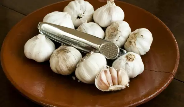 Garlic heads