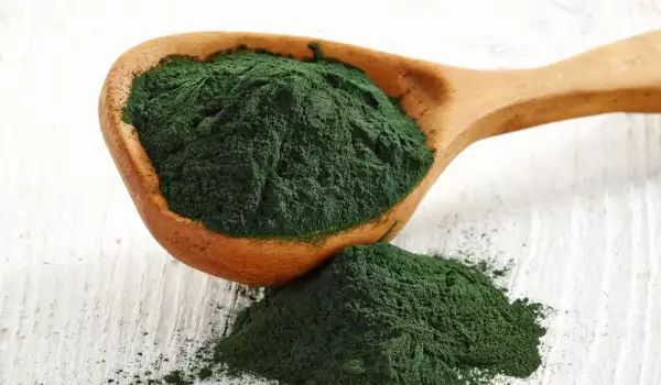 Harms of Spirulina