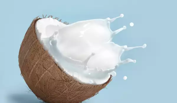 Nucă de cocos și lapte de cocos