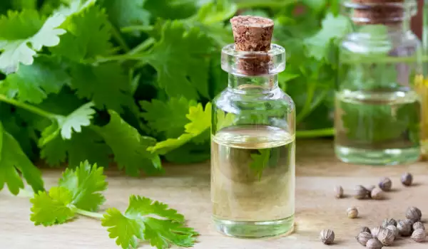 Aceite de cilantro