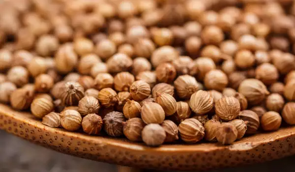 Coriander grains