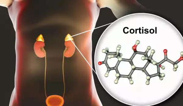 Висок кортизол