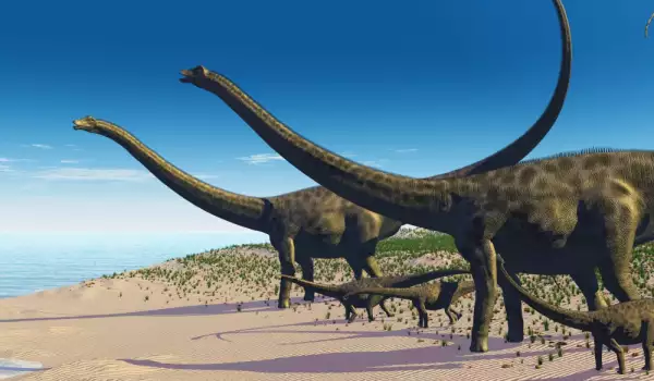 Diplodocus