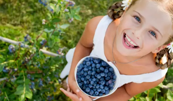 Vorteile durch Heidelbeeren