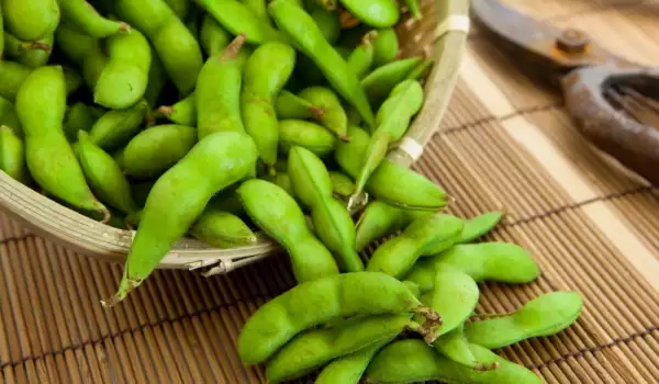 Beneficios del edamame