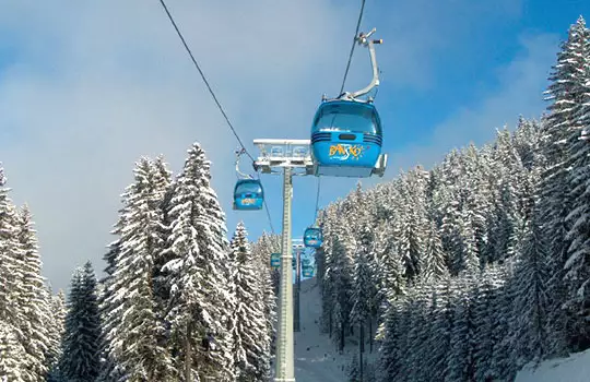 World women    's ski elit arrived in Bansko