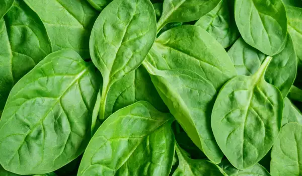 Spinach