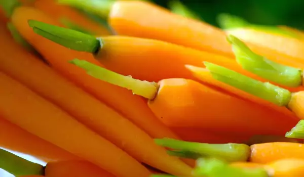 Fresh carrots