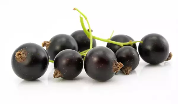 Blackcurrant is rich in iron