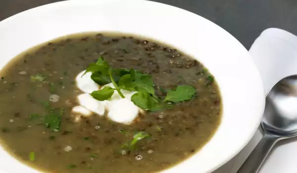 Green lentil stew