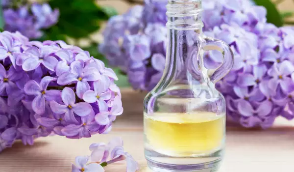 Lilac Oil