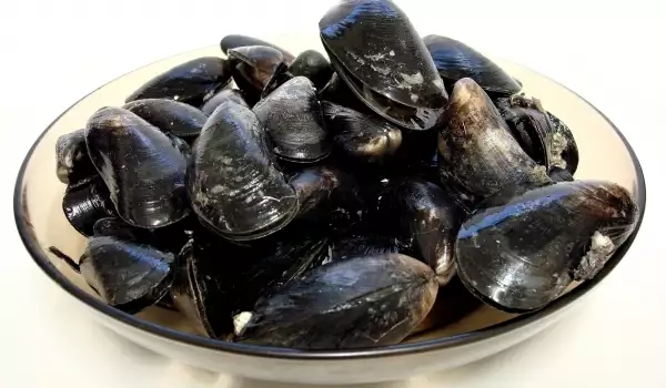 Closed mussels