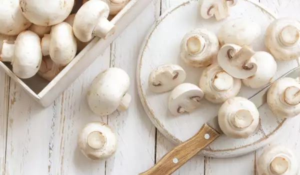 Champignons