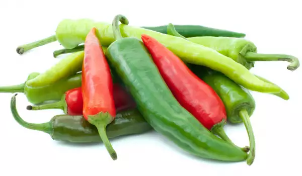 Chiles