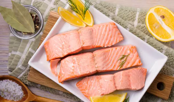 Salmon