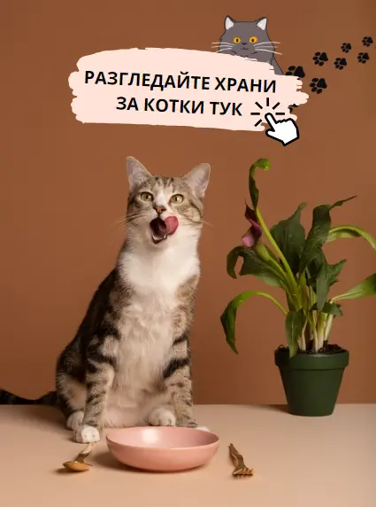 Храна за котки