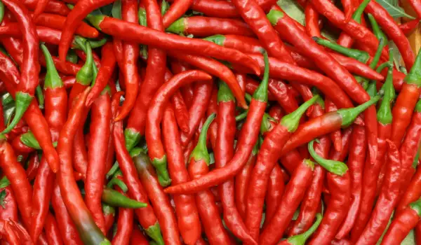 Chiles rojos picantes