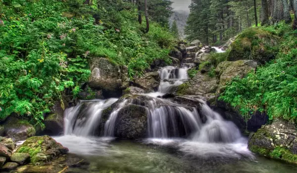 Какво е Наречена вода