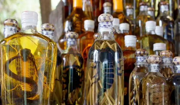 Snake Wine