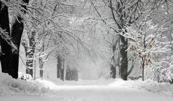 Heavy snowfalls in Bansko