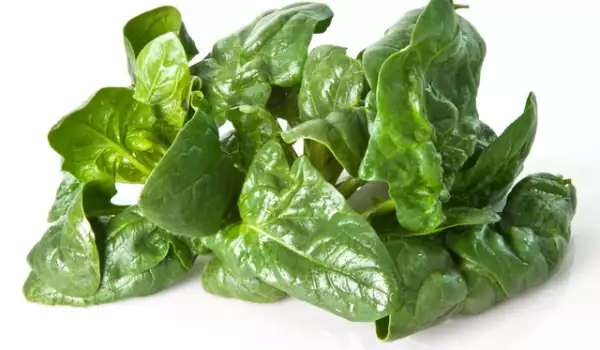 Spinach leaves