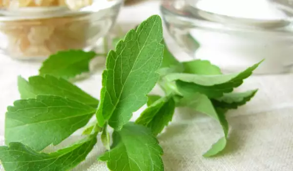 Stevia und Zucker