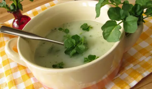 Suppe mit Kresse