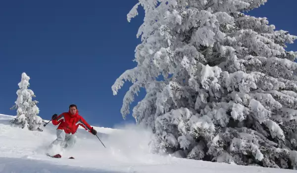 Каране на ски