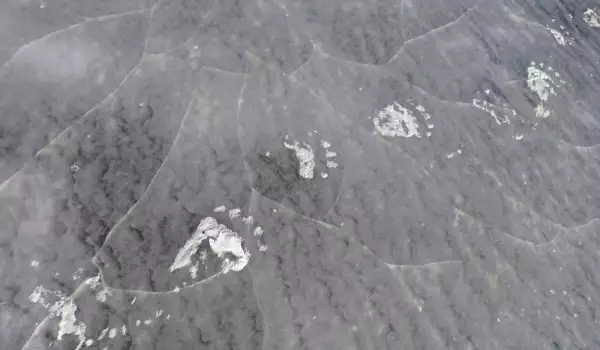 Yeti footprints